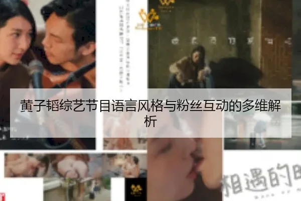 黄子韬综艺节目语言风格与粉丝互动的多维解析